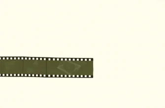 Films Not for Everyone: A Curated List