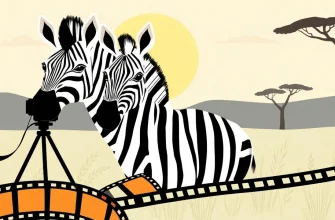 Top 10 Movies About Zebras