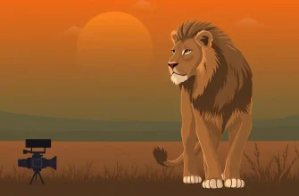 The Majestic World of Lions: Top 10 Documentaries