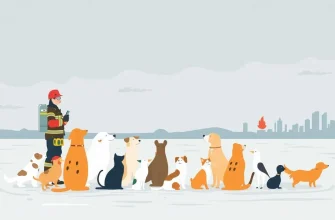 Top 10 Films About Animal Rescue