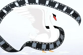 Swan Films: A Cinematic Journey
