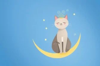 Meow-velous Fantasy Films: 10 Movies with Talking Cats