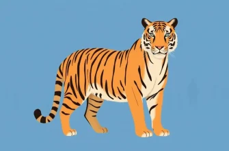 10 Must-Watch Tiger Drama Films