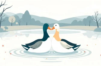 Duck Love Stories: 10 Melodramas to Warm Your Heart
