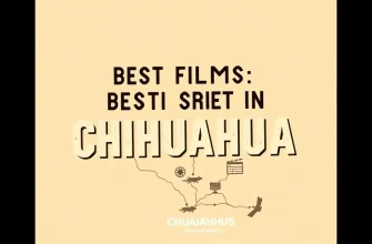 Top 10 Films Shot in Chihuahua