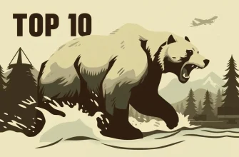 Unleash the Beast: 10 Action-Packed Bear Movies