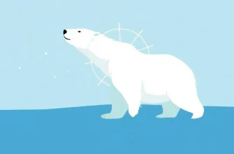 Arctic Adventures: Films Set in the North Pole