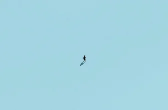 10 Must-Watch Films About Colonization