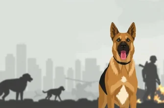 Heroic Canines: Films Celebrating Military Dogs