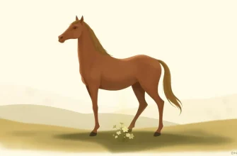 Top 10 Centaur Drama Films