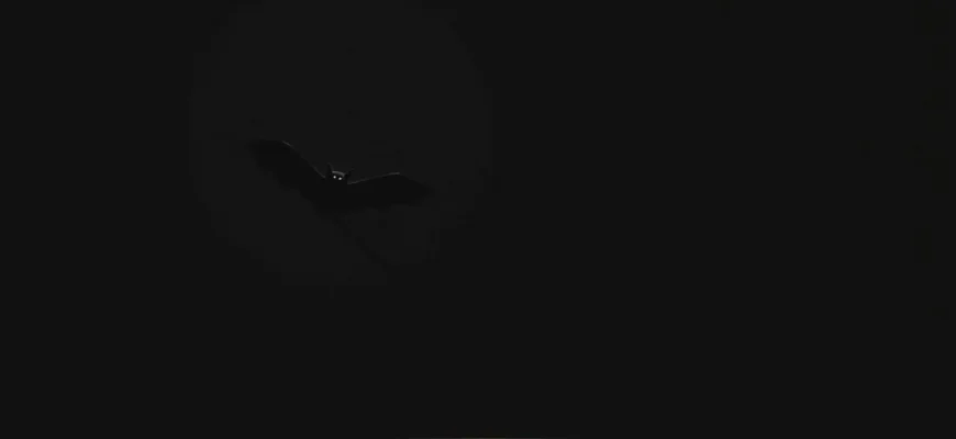 Top 10 Bat Thrillers to Watch