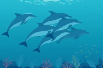 Dolphin Biopics: A Journey into the Lives of These Magnificent Creatures