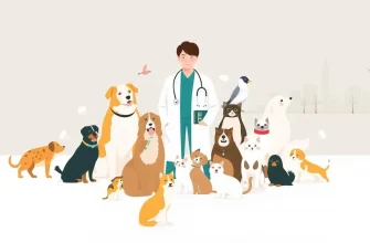 10 Heartwarming Vet Dramas You Can't Miss