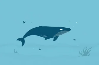 Explore the Depths with These Whale Documentaries