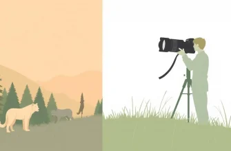 Top 10 Adventure Films on Wildlife Photography