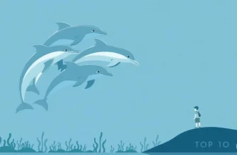 Discover the Magic of Dolphins Through Film