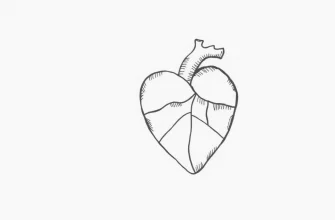 Top 10 Films That Touch Everyone's Heart