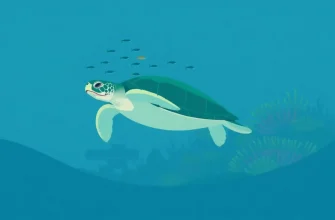 10 Documentaries on Underwater Sanctuaries