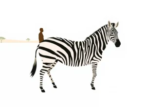 Drama Films About Zebras: A Cinematic Safari