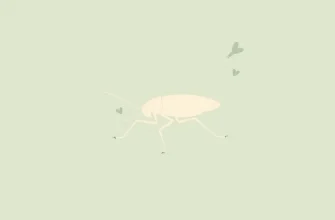 Cockroach Love Stories: 10 Melodramas to Watch