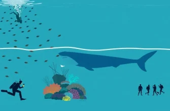10 Documentaries on Underwater Photography