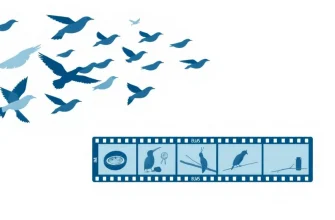 Top 10 Bird-Themed Films You Should Watch