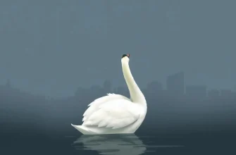 Top 10 Thrilling Swan Movies