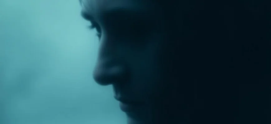 10 Thrillers Like The Face (2013)