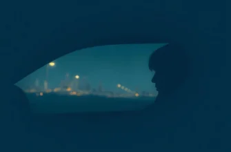 10 Movies & Shows Like Drive My Car