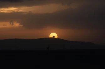 10 Movies and TV Shows Similar to The Promised Land (2023)