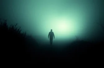 9 Movies and Shows Similar to The Gardener (2018)