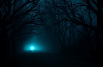 10 Movies & Shows Similar to The Curse of Buckout Road (2017)