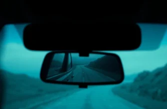 10 Movies & Shows Like In the Rearview