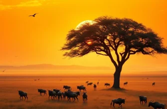 10 Movies & Shows Like Serengeti (2019)