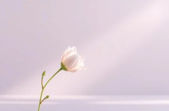 10 Movies and Shows Similar to Skincare (2024)