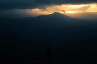 10 Movies and Shows Similar to Sugarcane (2024)