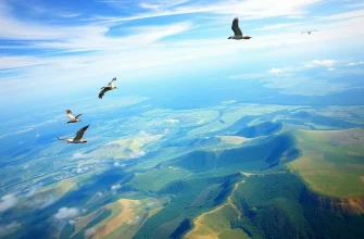 10 Must-Watch Shows Similar to Earthflight