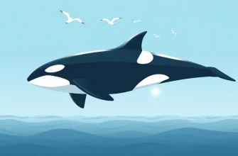 Orca Biopic Films: A Cinematic Journey