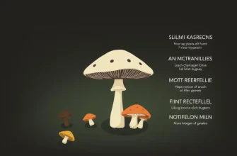 Mushroom Biopics: A Cinematic Journey into the World of Fungi